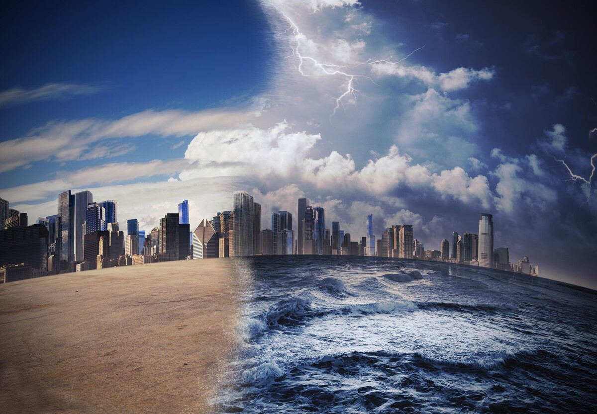 新西兰培育放屁少的羊,新西兰减少羊养殖的原因