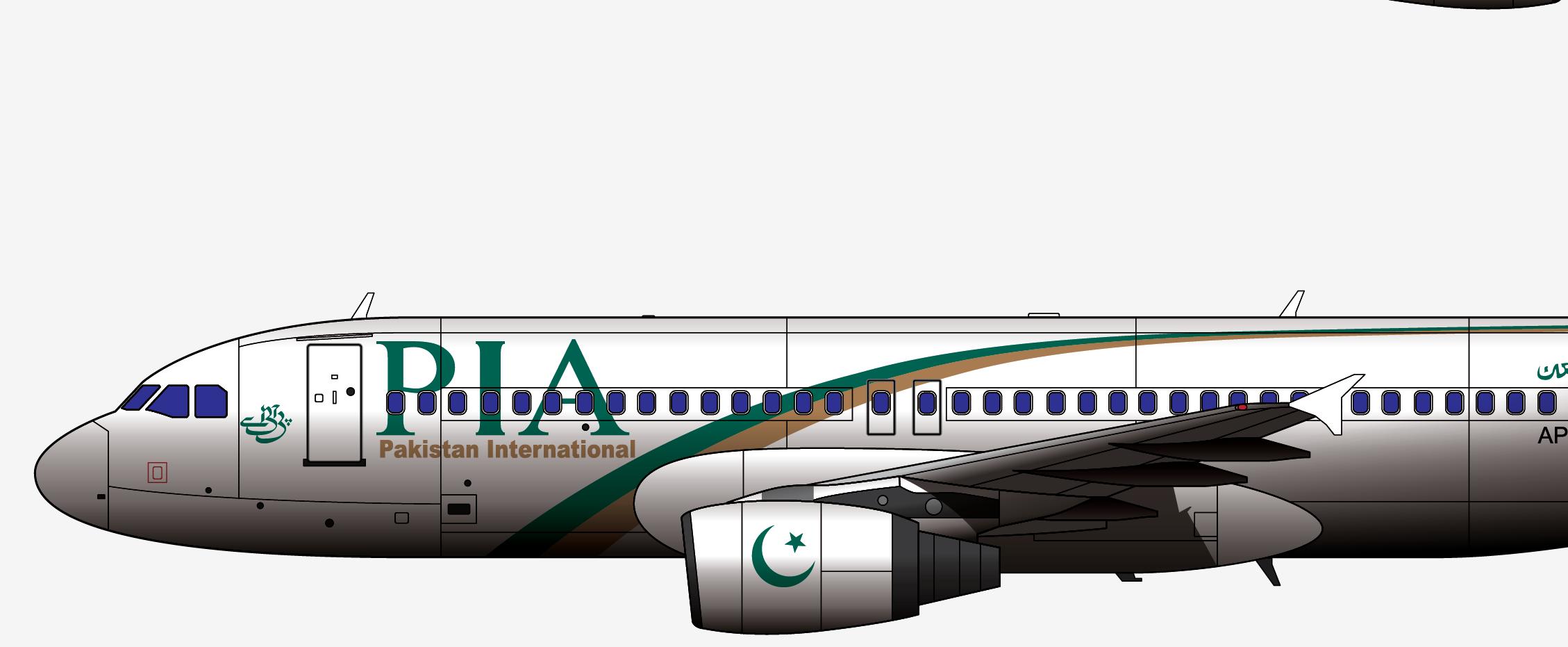 卡拉奇空难事件,巴基斯坦国际航空287号班机空难
