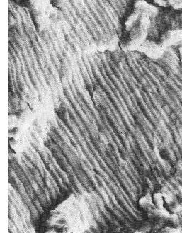 金属断裂是什么原因造成的,怎么判断金属断口起裂位置