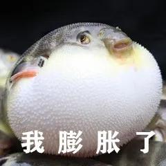 宅在家还能做什么？拒绝云办公自己做京东无货源