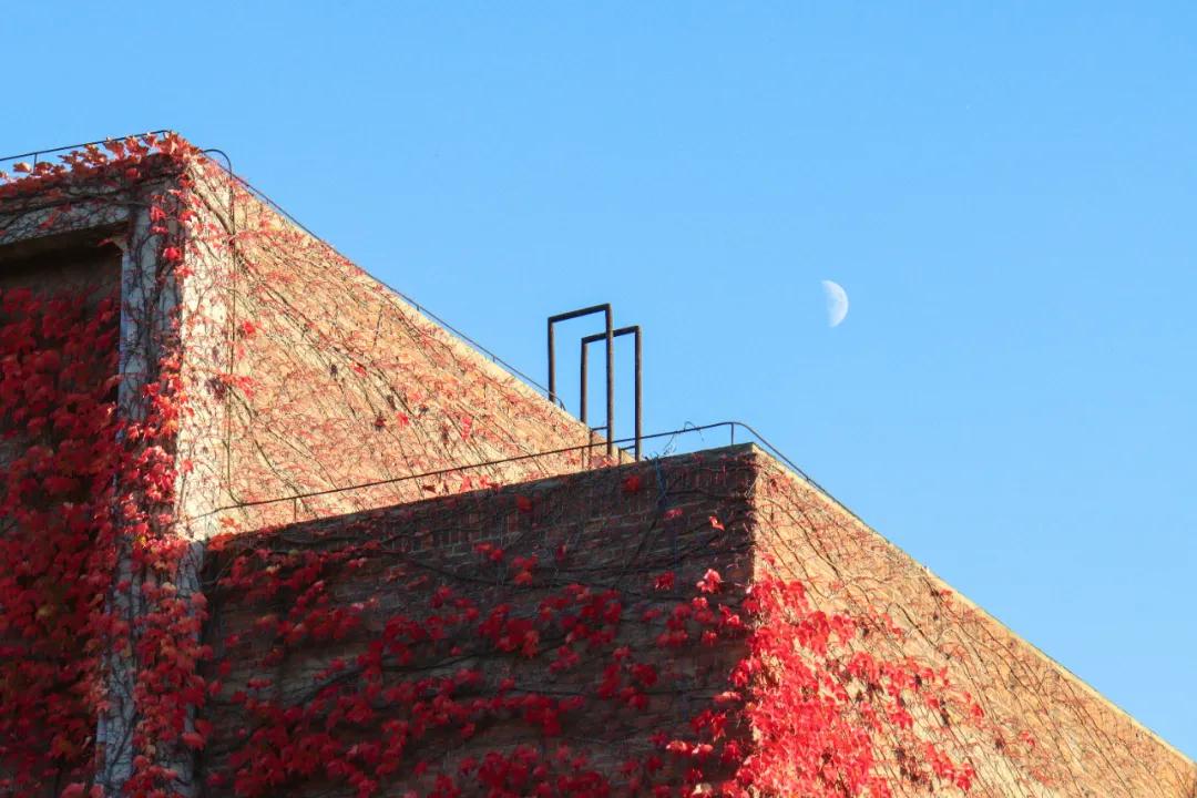 醉美大工秋|读书不觉已秋深，____________