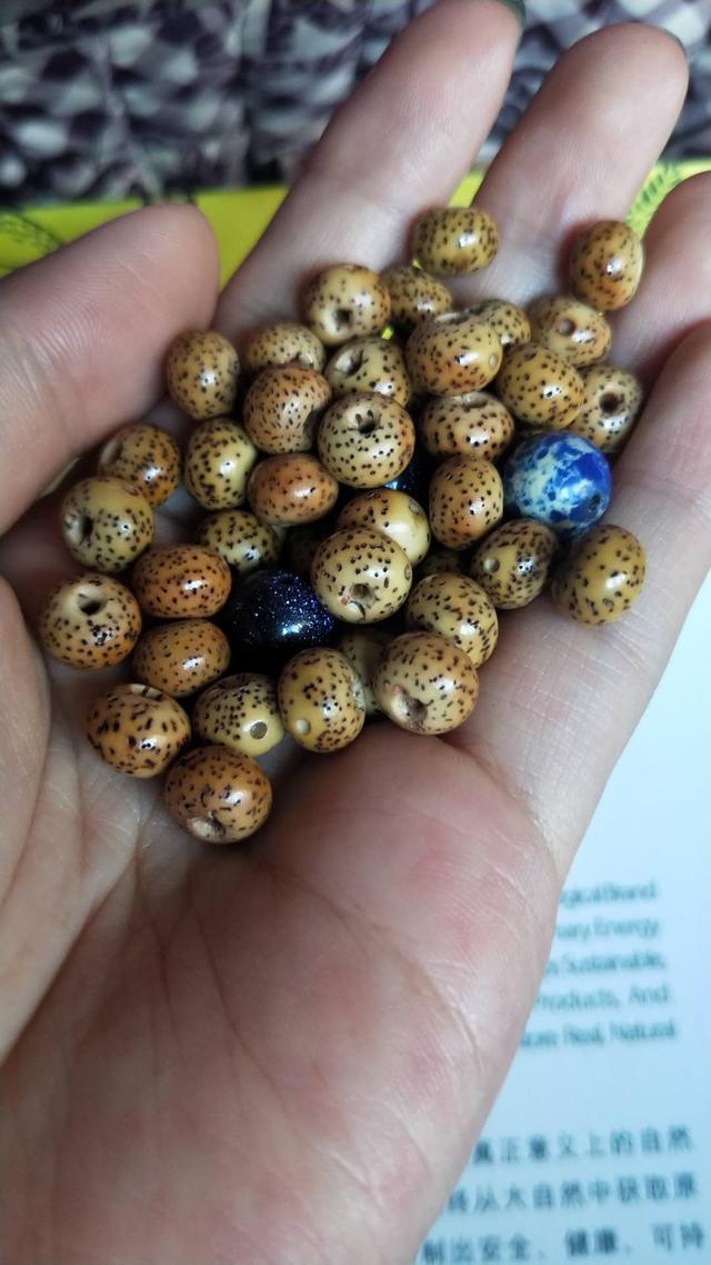 星月刚拿到怎么盘,新星月怎么盘