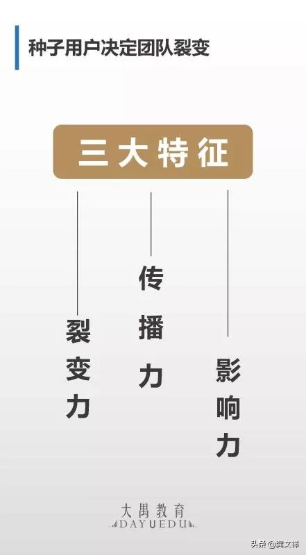 如何打造有战斗力的团队,比较好的运营管理提升培训方案