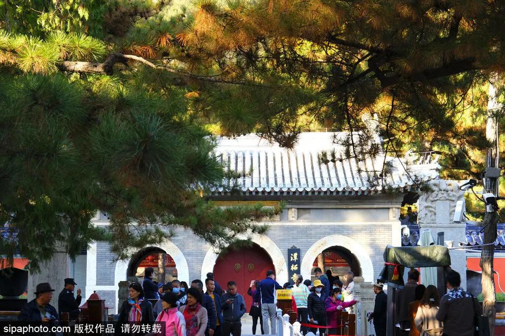 安排一日游攻略,安排旅游必去景点