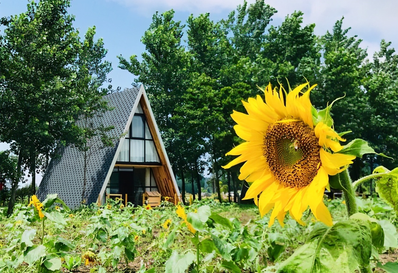 景区民宿应该怎么设计,景区民宿如何打造特色品牌