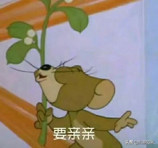 男生最喜欢女生的哪个特征,男生最喜欢女生的哪种身材