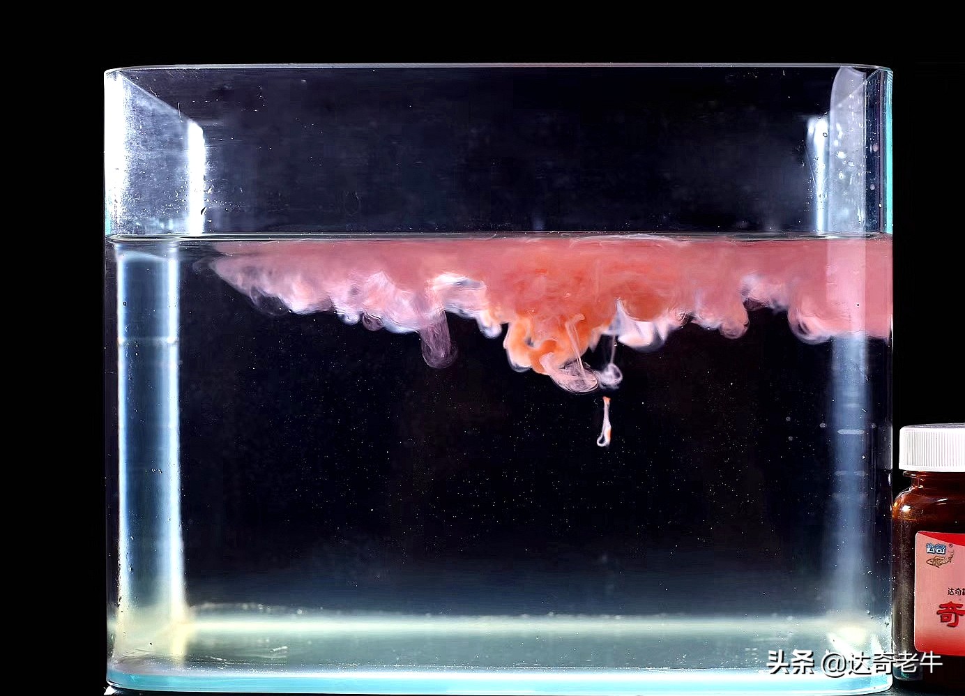 野钓饵料小药爆款第一名,钓鱼小药绝密配方饵料