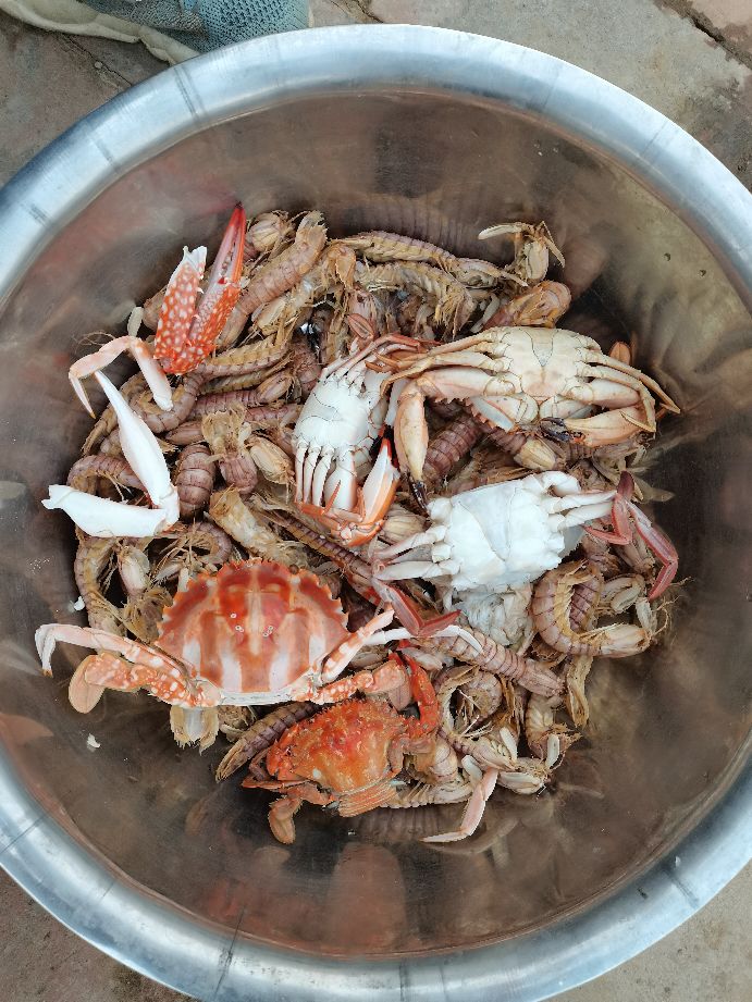 包网捕鱼到底要怎么样，答案在这里。