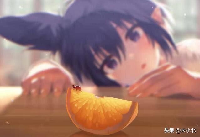 遇见即是上上签纵使结局不如意,遇见即是上上签纵使结束不如意