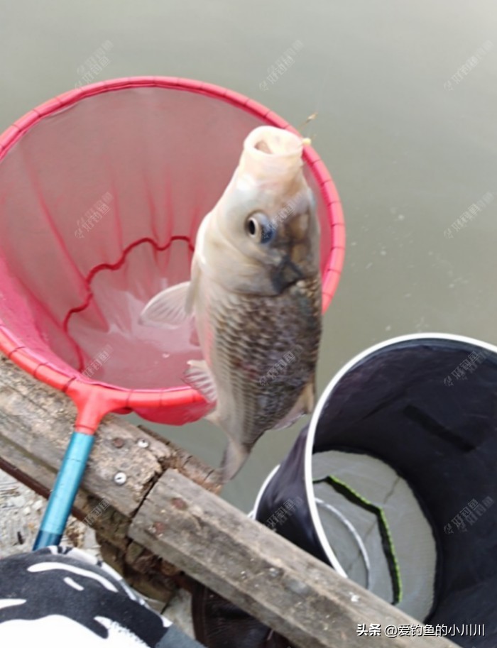 聊下找口与抓口的问题个人见解