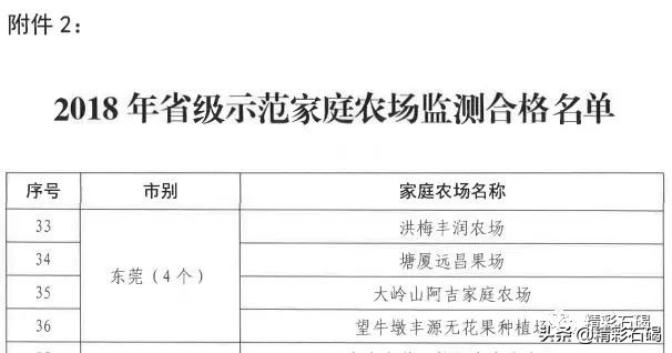 东莞石碣镇雅兰花卉新闻视频,雅兰花卉石碣