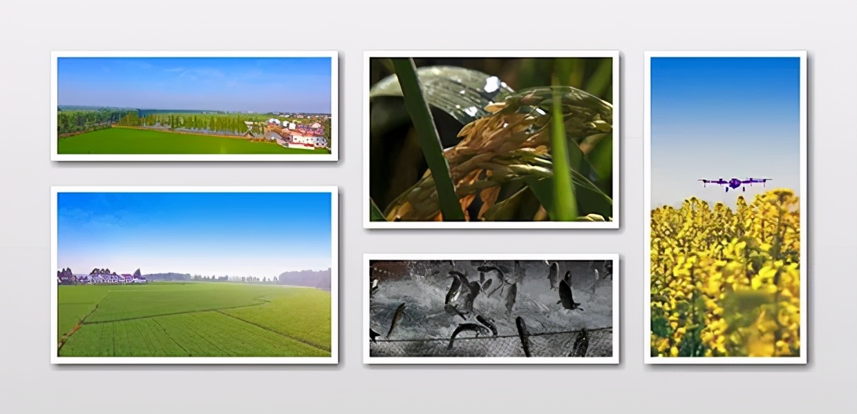 应来之城食用盐生产,应来之城餐馆