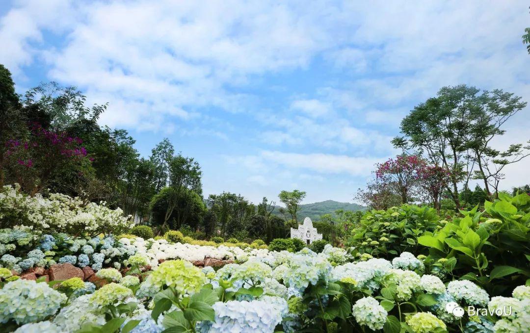 【慢游新天府，感受新成都】端午节特辑（二）|世界冠军蒋文文、蒋婷婷带你去逛川西林盘和特色小镇打卡地