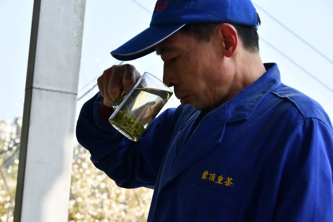我们争分夺秒加班加点,就是为了奉上今春这第一波蒙顶皇茶!