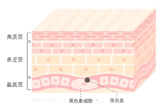 张天爱视频用的保养护肤面霜,张天爱作息曝光视频
