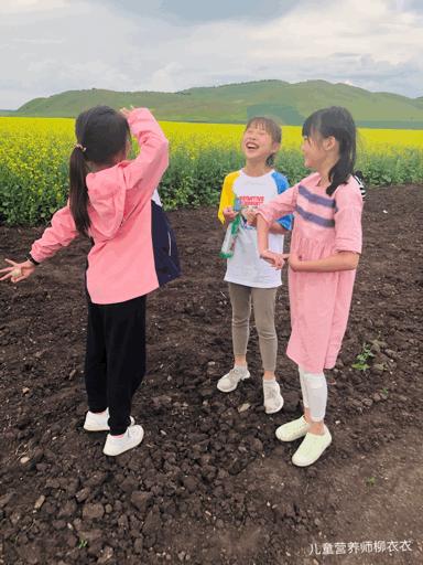 暑假内蒙古旅游攻略亲子,暑假亲子游玩内蒙古5天4夜