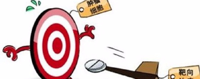 泽璟制药最新报价,泽璟制药46个产品