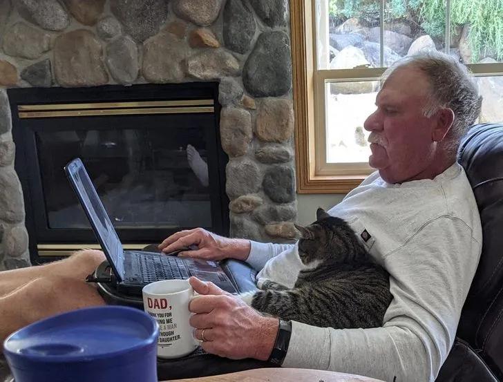 氛围感治愈温柔猫咪图片2张,带有人物与猫咪的温馨治愈图