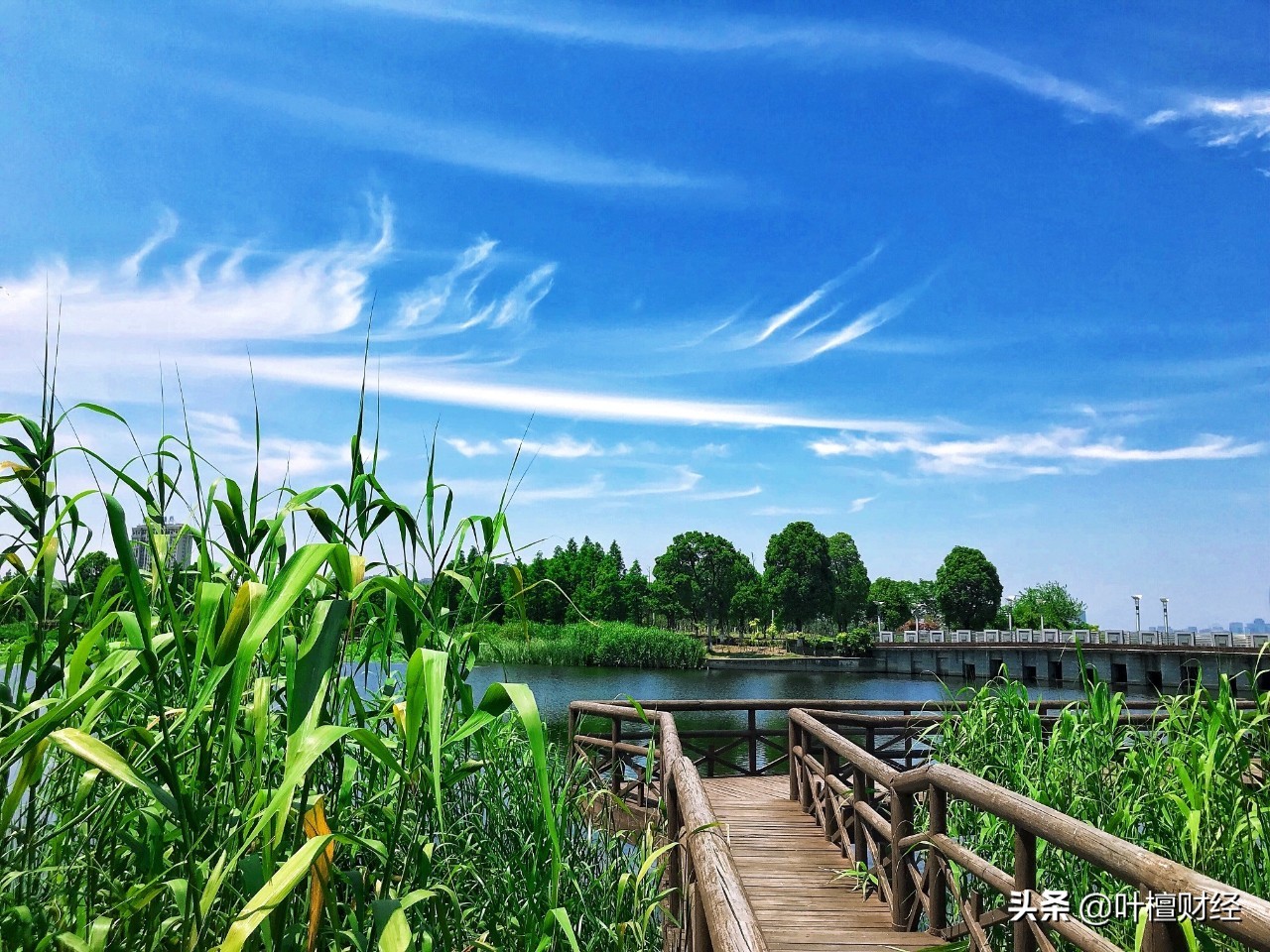 中海基金最新消息,中海基金最新信息