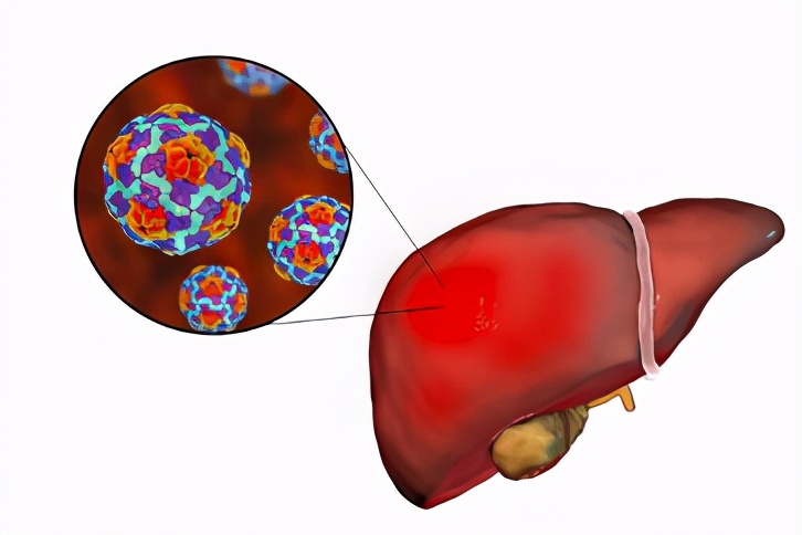 新冠病毒诺贝尔奖,丙肝研究获诺奖