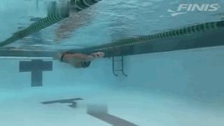 休闲蛙泳怎么游最快最轻松,蛙泳怎么游最快最轻松正确