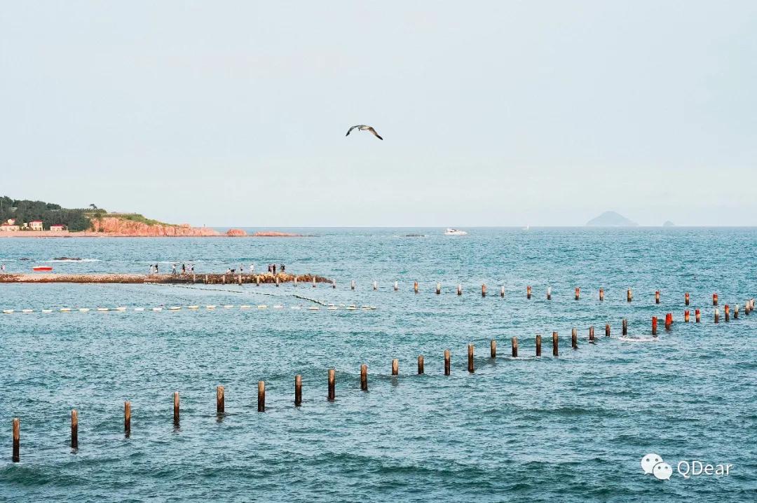 青岛景点春节免费开放通知,青岛六十岁老人去哪些景点免费