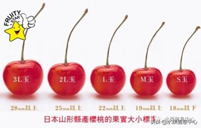 卖樱桃8块一斤十五块两斤的视频,一斤樱桃多少钱