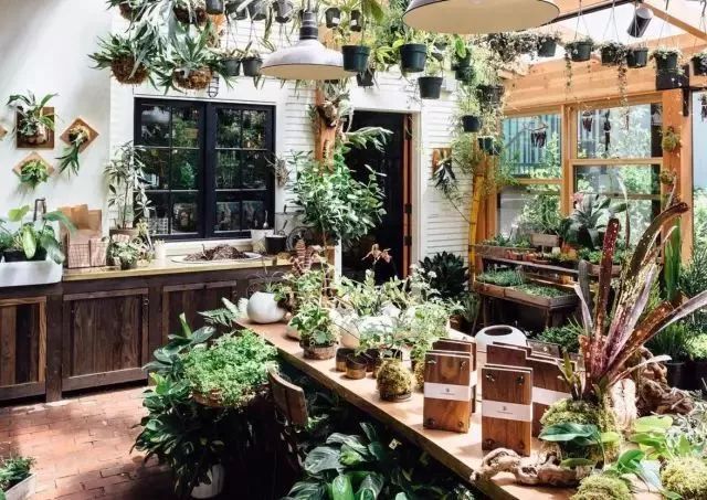 开一家植物美学小店,开一家属于自己的花店