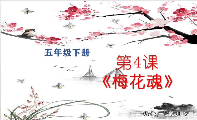 五年级语文第四课梅花魂讲解,语文五年级下册第四课梅花魂笔记