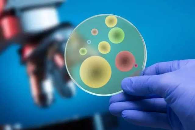 扁平疣孕期,孕期脸部扁平疣爆发