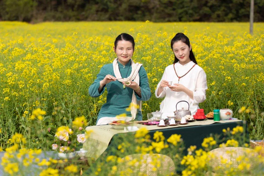 婺源油菜花节,2023婺源油菜花节