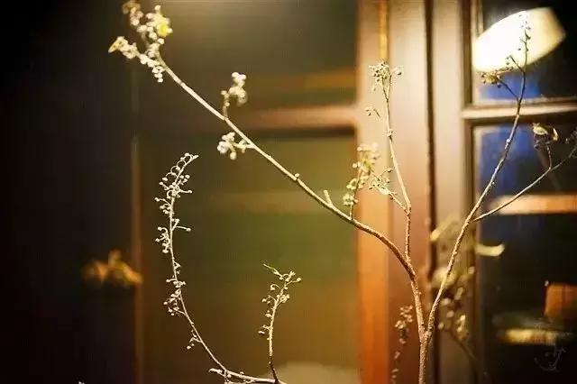 茶馆喝茶休闲场所推荐,最有茶意的茶馆