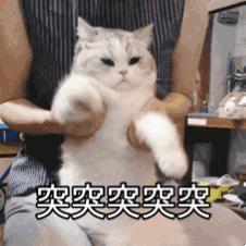 cpa财管的题怎么做,cpa财管备考误区