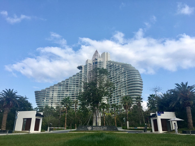 一条海棠路，半座三亚城：“海岛第一路”背后蕴藏怎样的资源密码