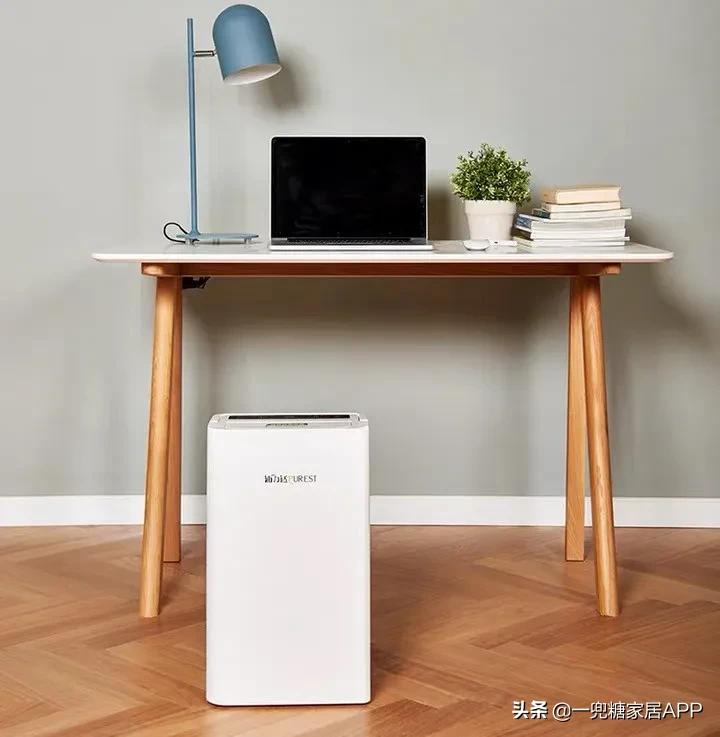 躲避回南天如何装修,南方回南天用什么除湿机