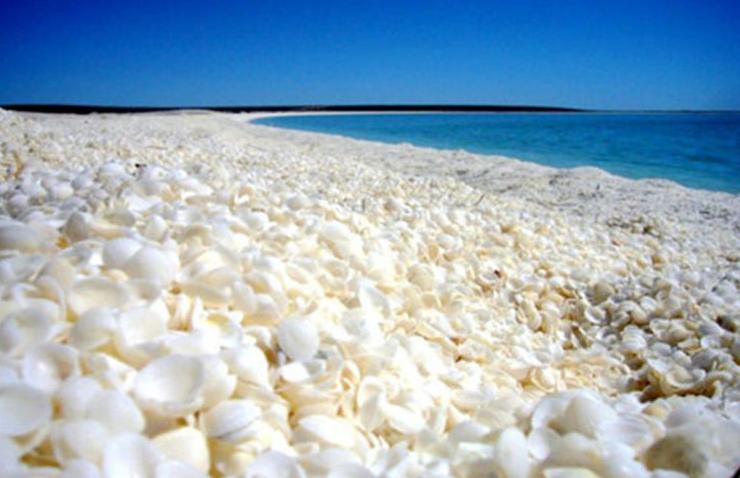 nba詹姆斯旅游,詹姆斯nba旅程