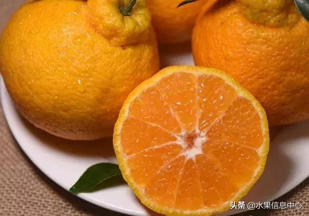 中国水果大全,中国水果大全图片和名字