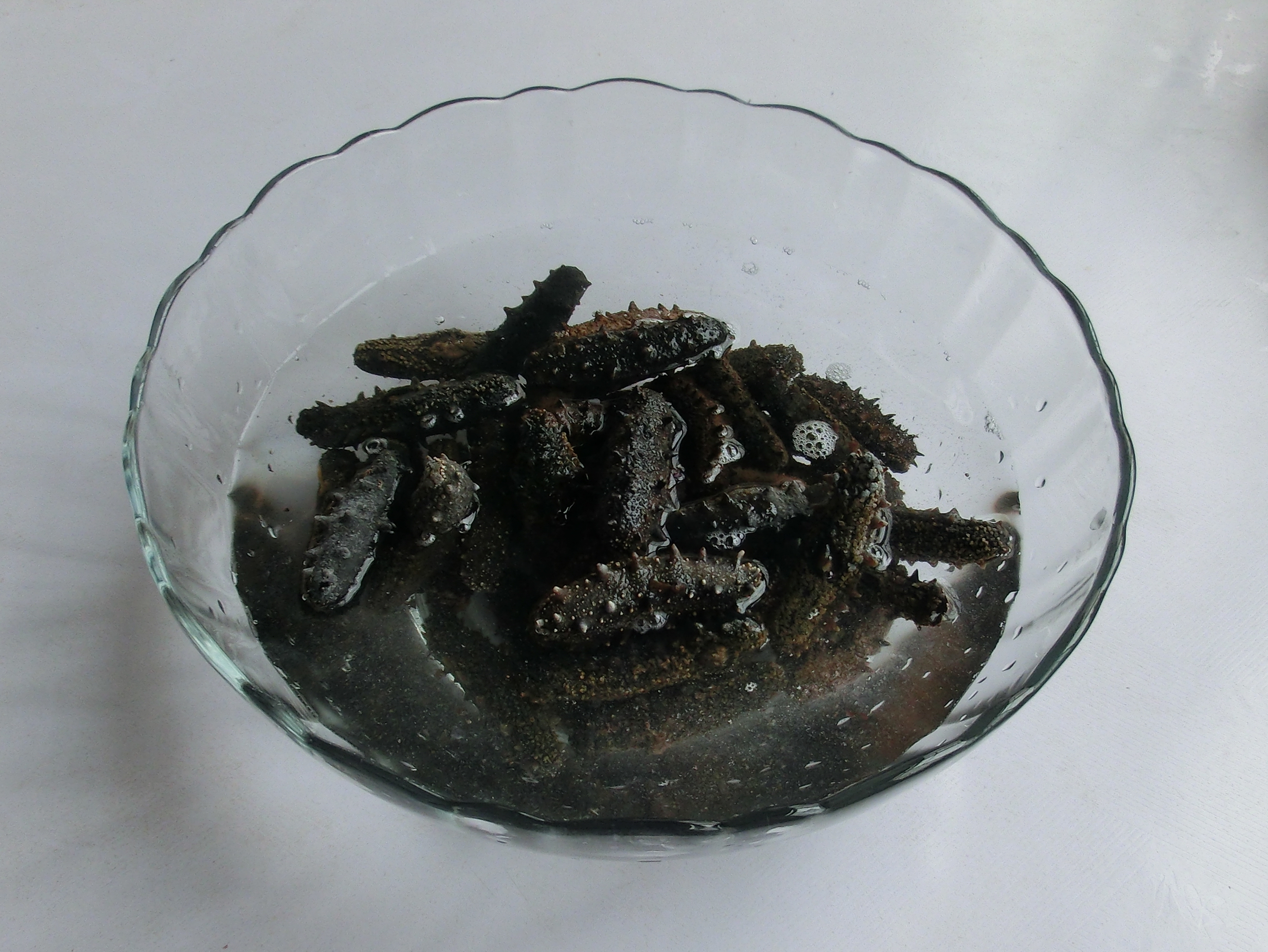 海参怎这么贵呢,海参的正确泡发方法和做法