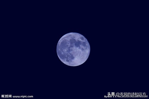 苏轼水调歌头中的婵娟是什么意思,苏轼写的一首古诗中的婵娟指什么