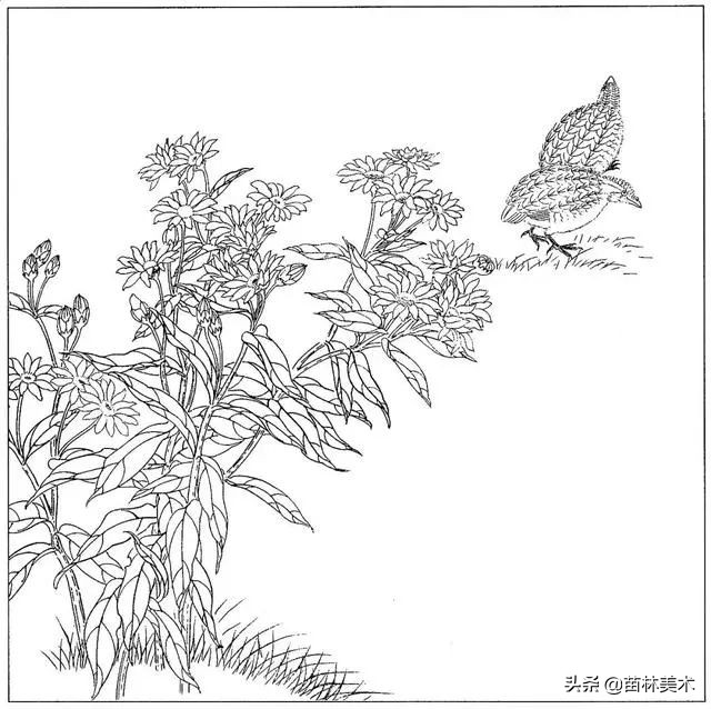 现代国画工笔花鸟白描及完整版,路雨年工笔白描花鸟团扇高清图片