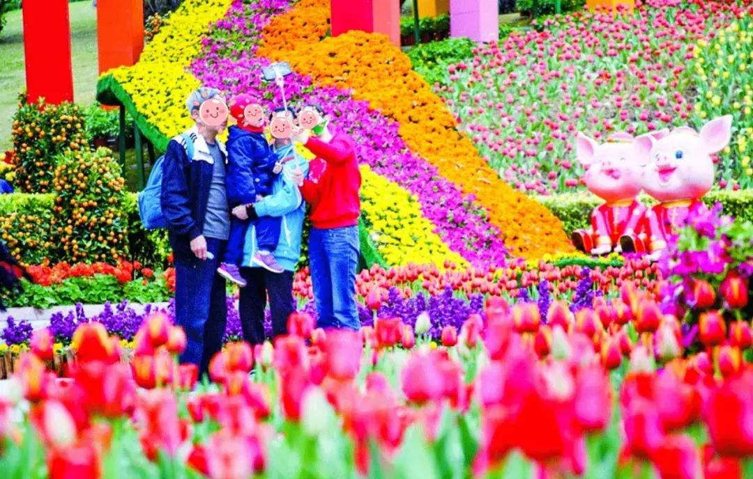 广州白云山什么时候开始改造,广州白云山现在能开上去吗