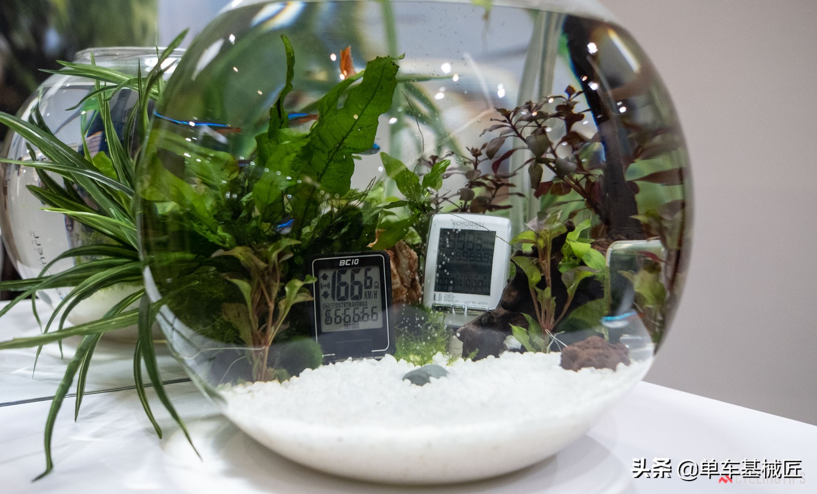 台北自行车展2024有坎普吗,2019台北自行车展视频