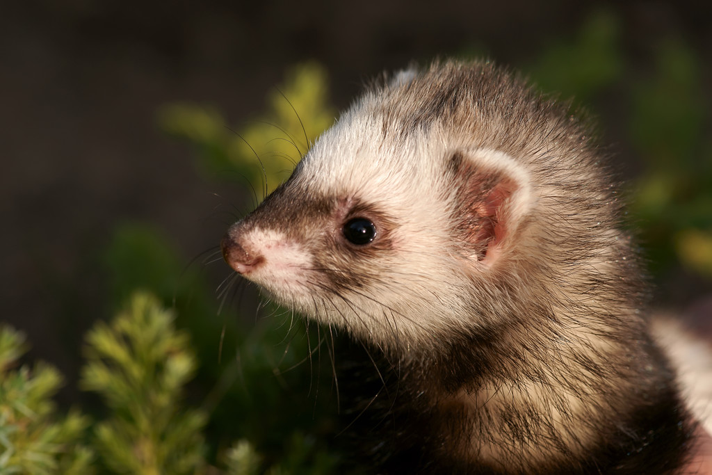 比生化武器还厉害的武器,比生化武器还可怕的武器