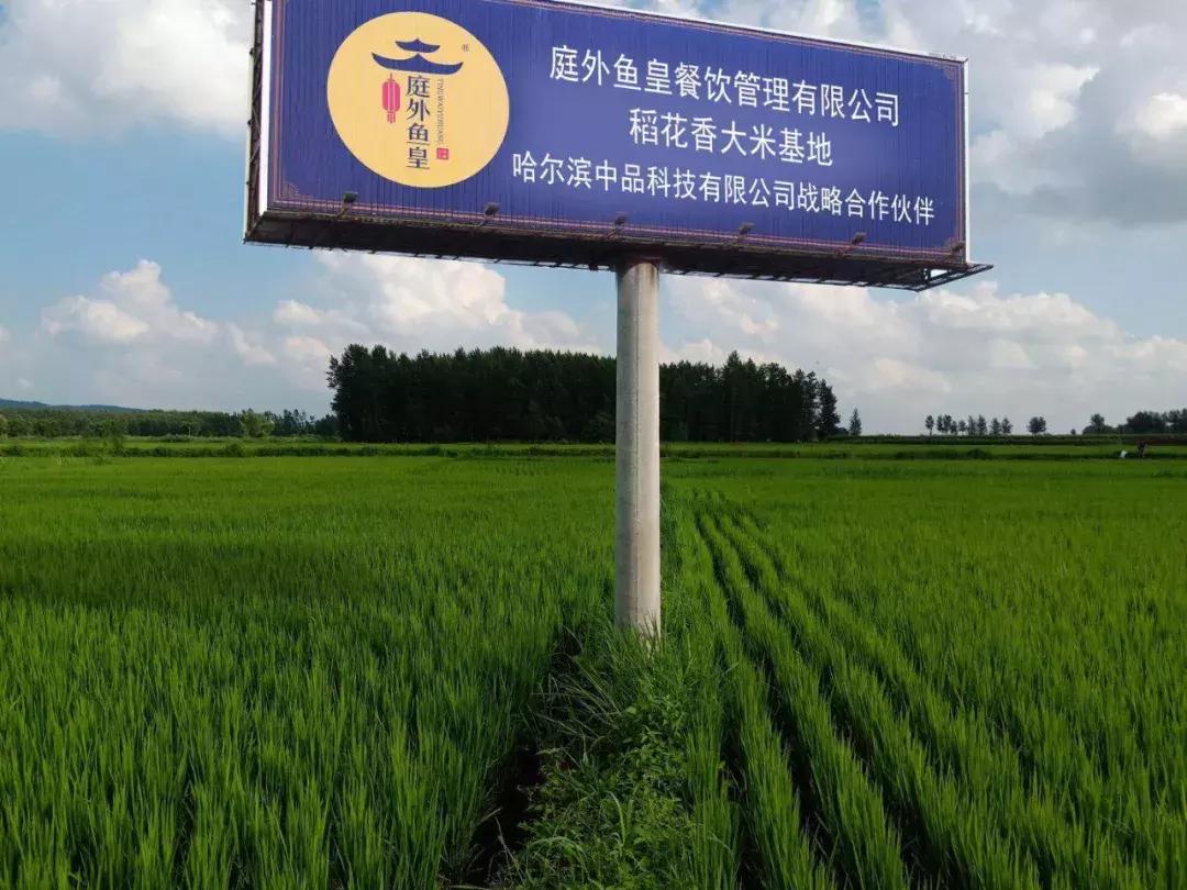 小龙虾店如何脱颖而出,小龙虾怎么拓展销路