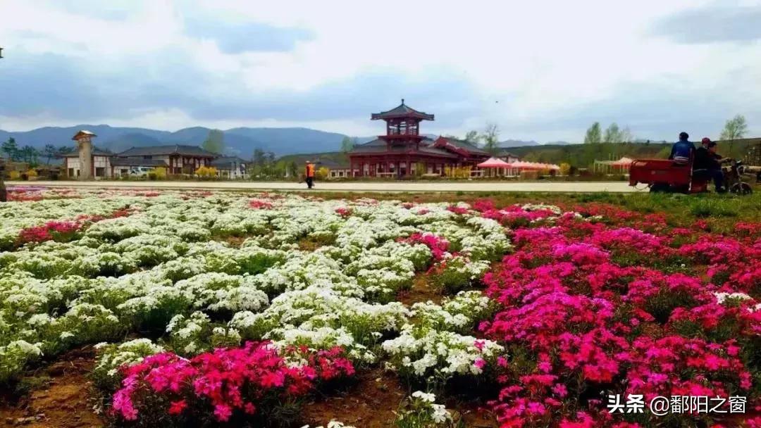 宁夏：相遇在泾源，邂逅人间最美的风景