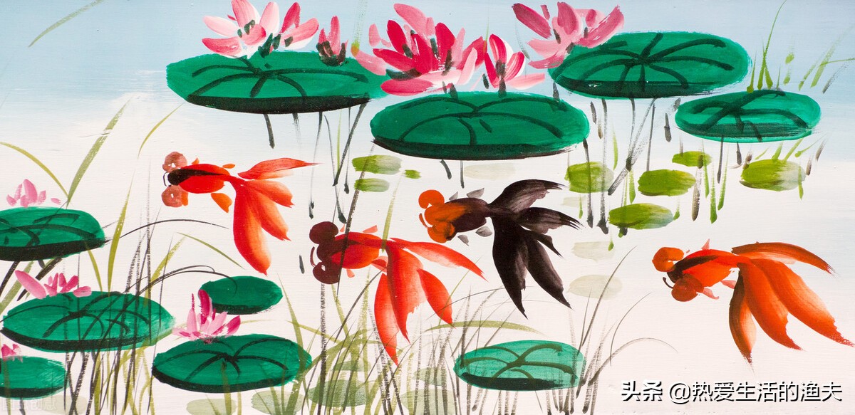 金鱼五六天不喂食会饿死吗,金鱼几天不喂食会不会死掉