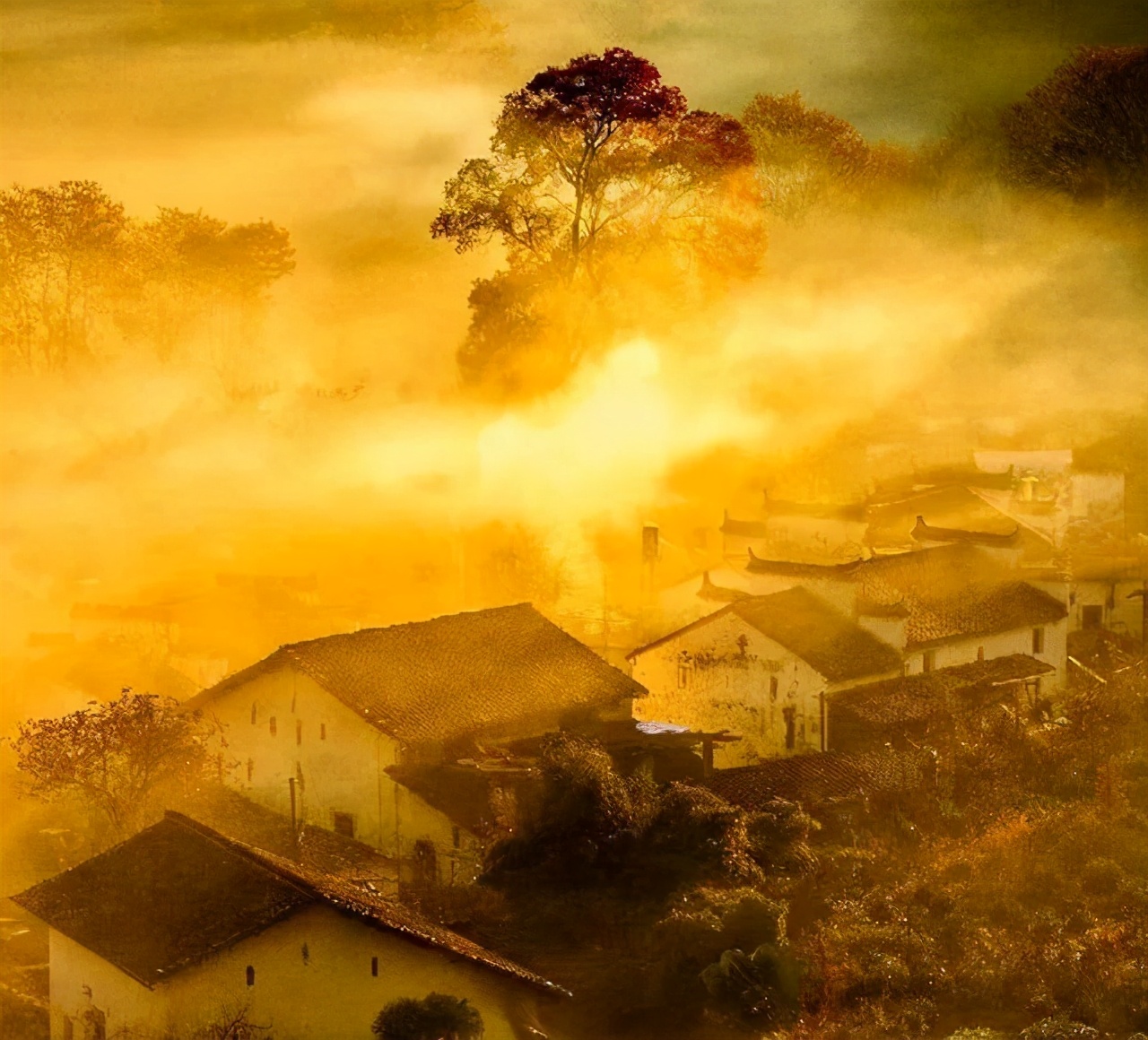 怎么缓解害怕死亡心理焦虑,75岁如何缓解焦虑