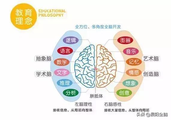 如何锻炼右脑想象力,锻炼左手开发右脑