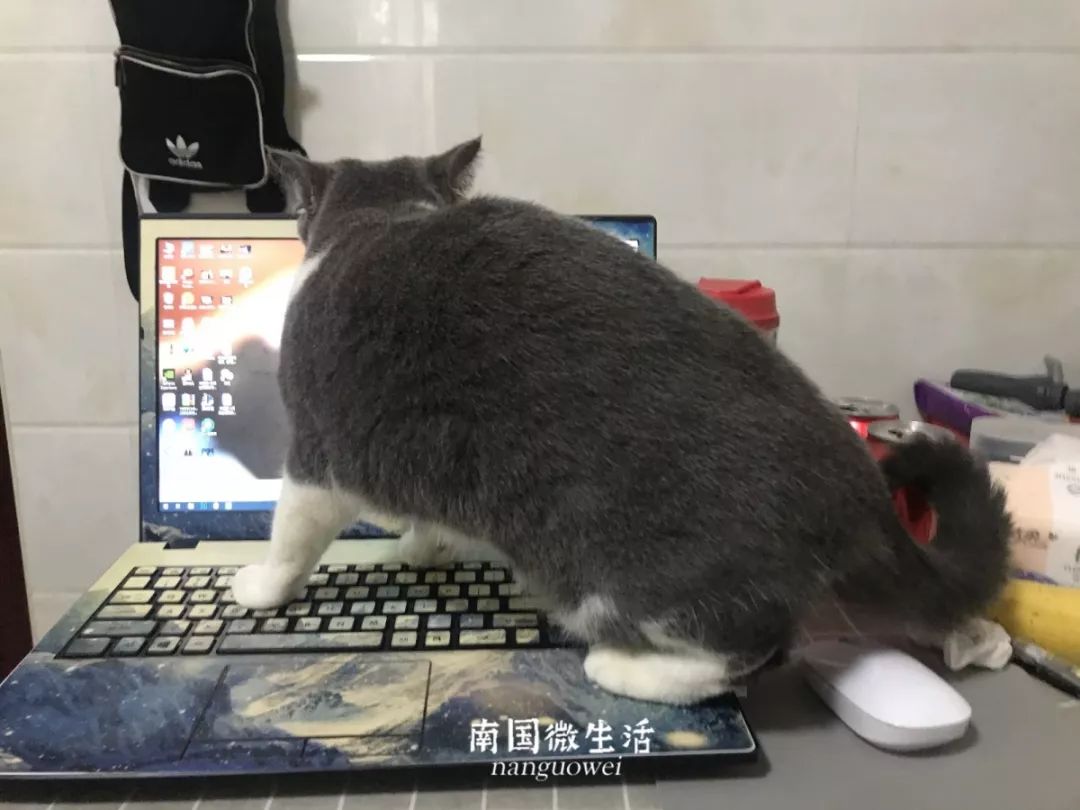 顶不住了！看看在家办公半个月的南宁人