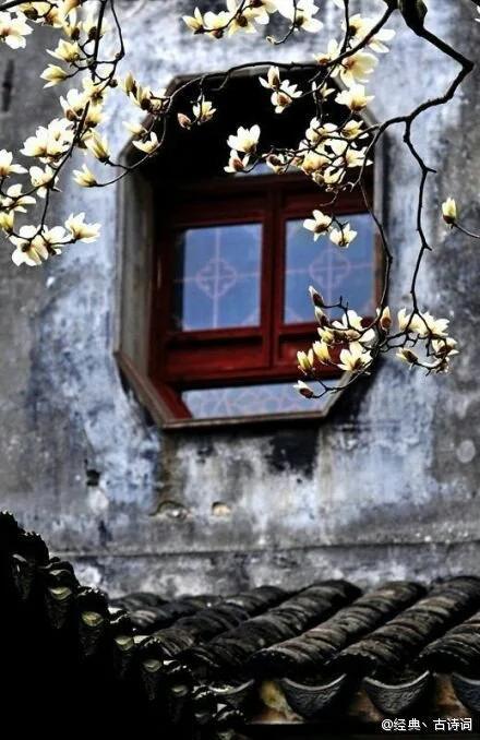 身为华夏子孙,百家姓的故事你不得不知